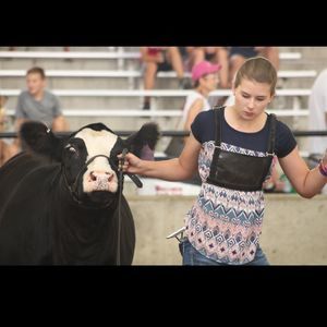 Meet your Posher, Cortney